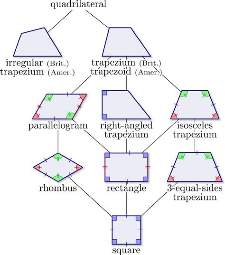 Are all quadrilaterals parallelograms True or false