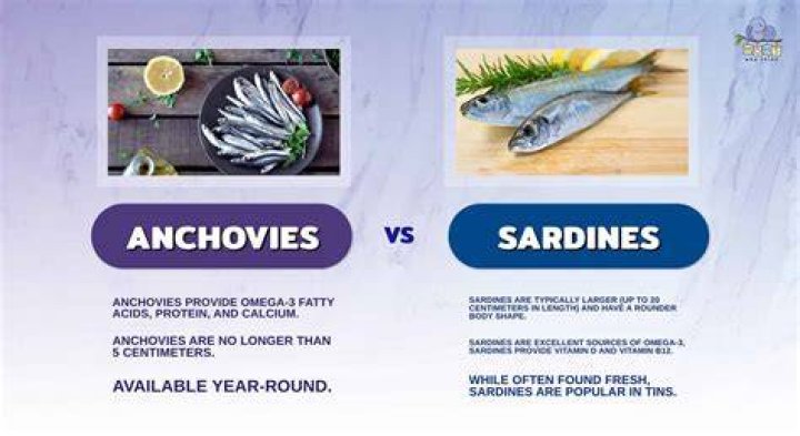 Are Anchovies Fish Or Shellfish