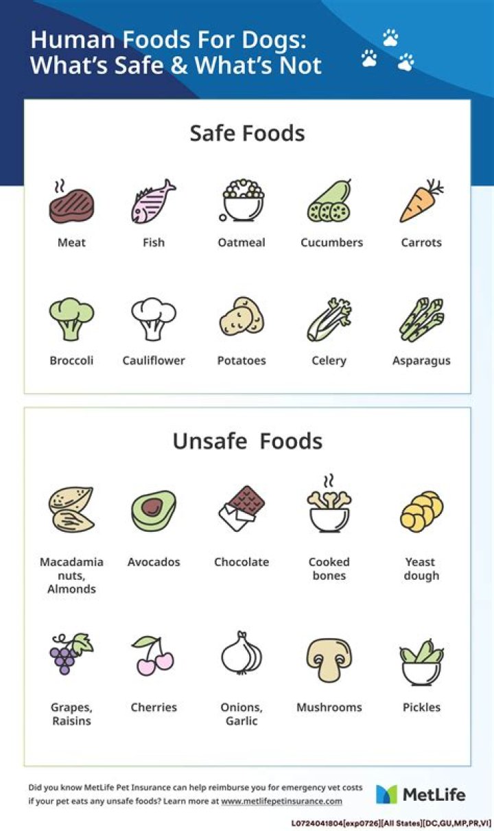 Are dogs allowed to eat dates