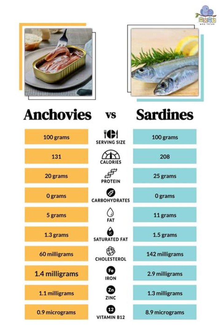 Are tuna and sardines the same
