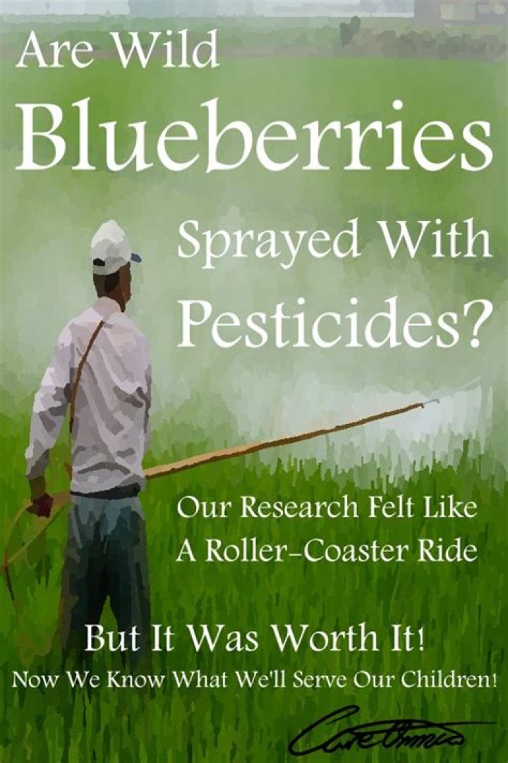 Are wild blueberries sprayed