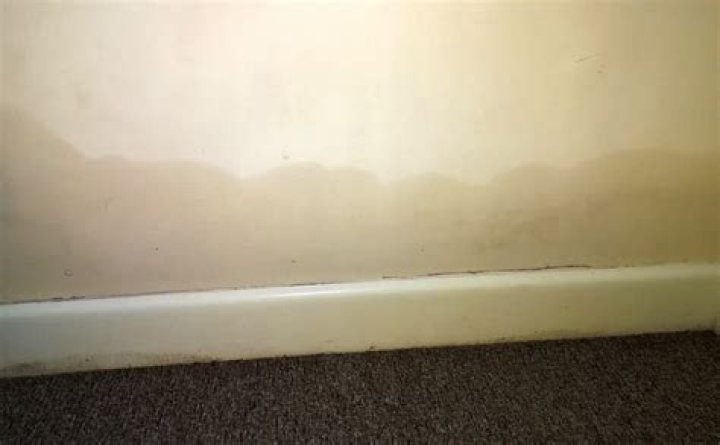 Can damp make you ill