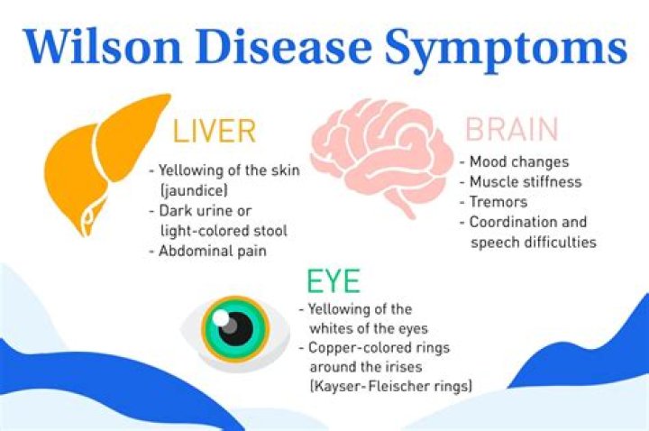 Can people with Wilsons disease have kids