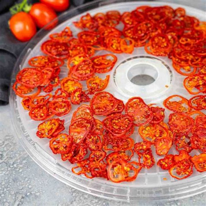 Can you dry tomatoes in a dehydrator