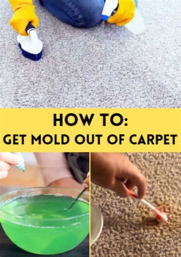 Can you get mold out of carpet