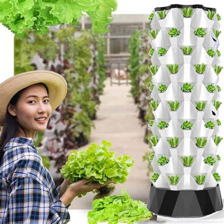 Can you grow celery in a tower garden