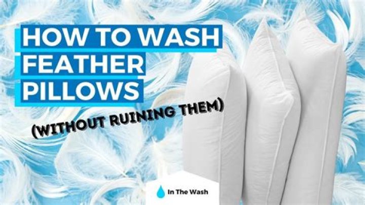 Can you put a feather pillow in the washing machine