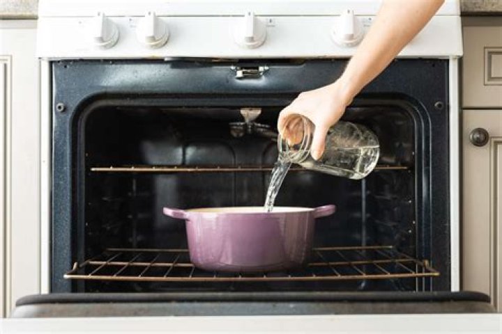 Can you use vinegar to clean an oven