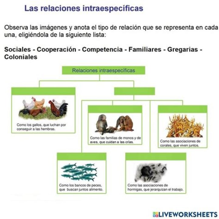 ¿Cuáles son las relaciones intra e interespecíficas