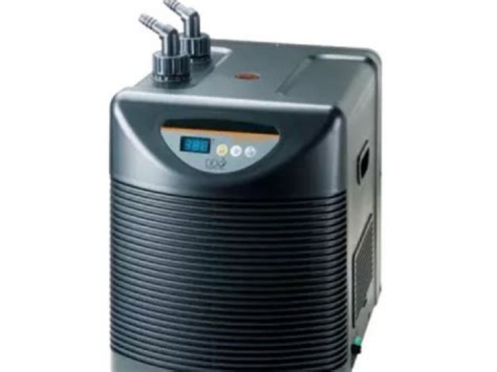 Do you need a chiller for saltwater aquarium