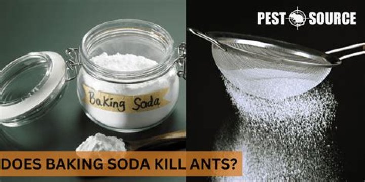 Does baking soda kill bad odors