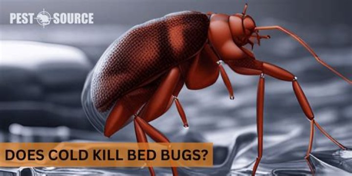 Does cold winter kill bugs