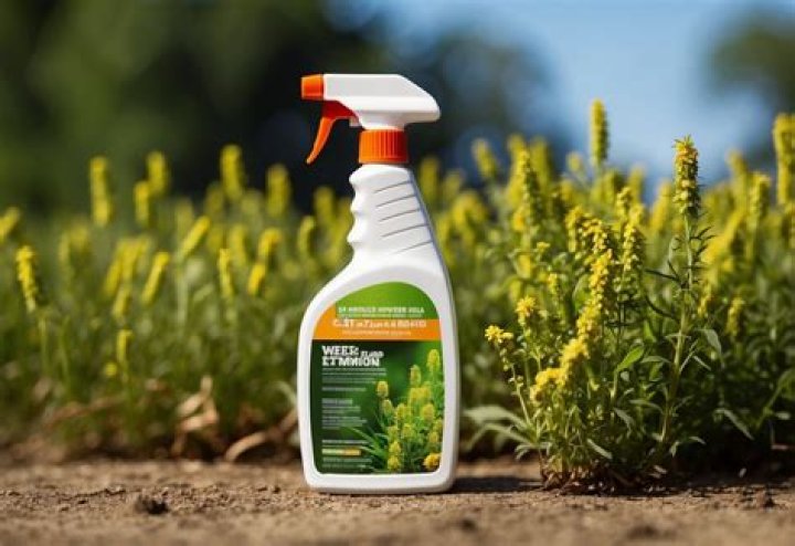 Does Salt harm grass