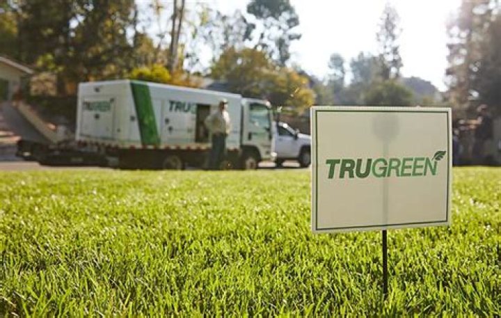 Does TruGreen treat trees
