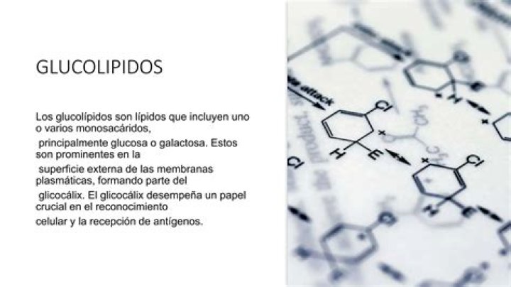 ¿Dónde se sintetizan los glucolípidos