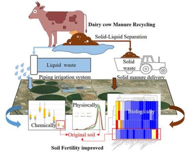 How can we use animal dung