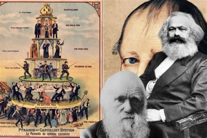 How did Comte de Buffon influence Darwin