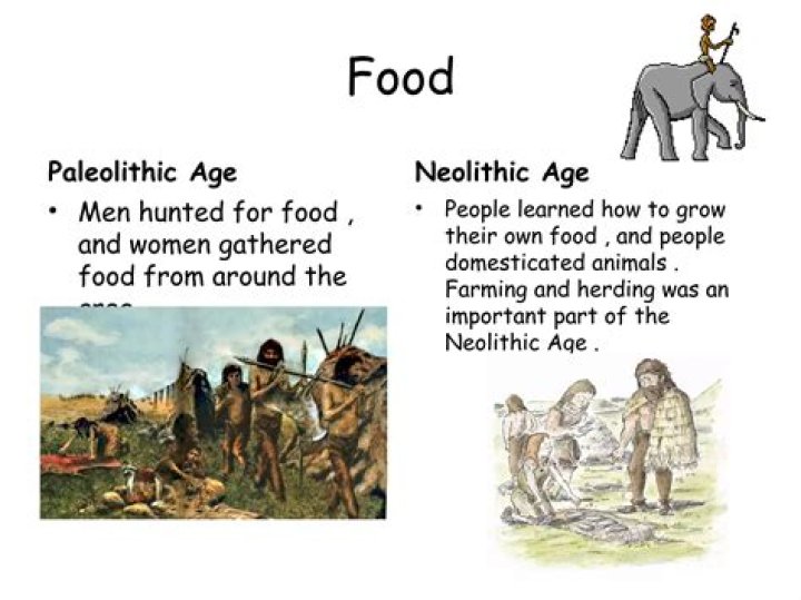 How did Paleolithic nomads get their food