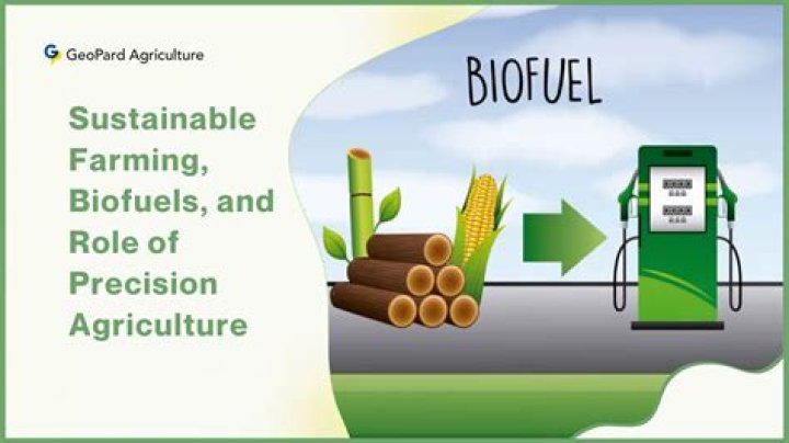 How do biofuels benefit the environment