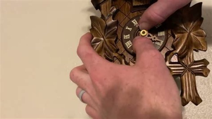 How do I adjust the speed on my cuckoo clock