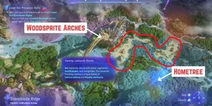 How do I get to the sandbar Kaneohe