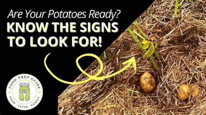 How do I know when my produce is ready