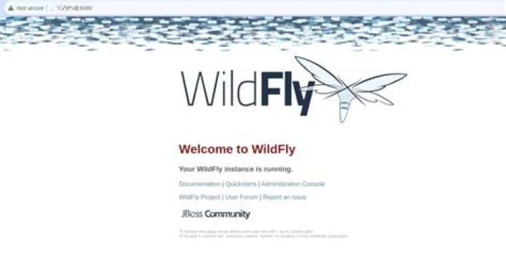How do I run a WildFly server in eclipse