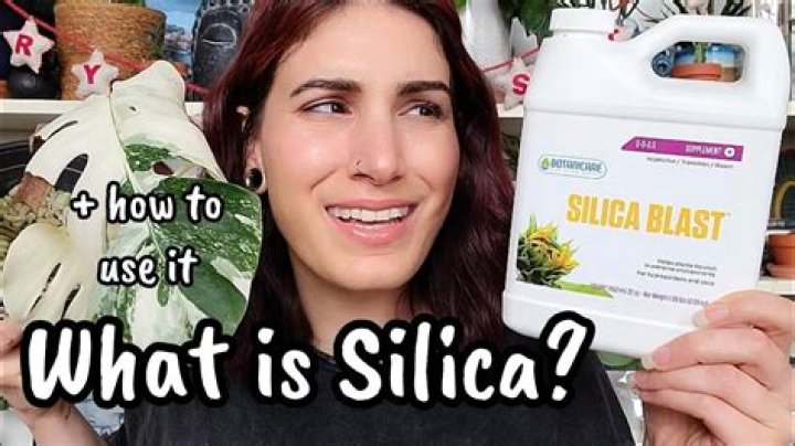 How do you add silica to plants