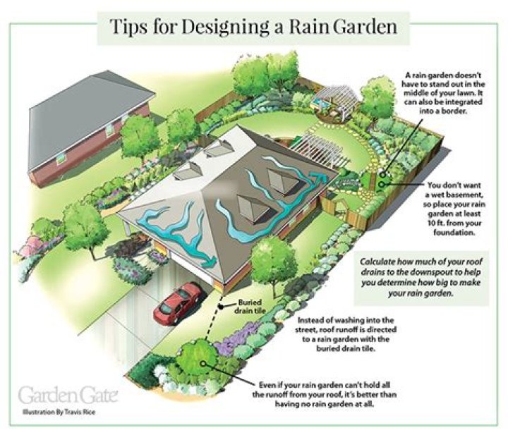 How do you build a rain garden design