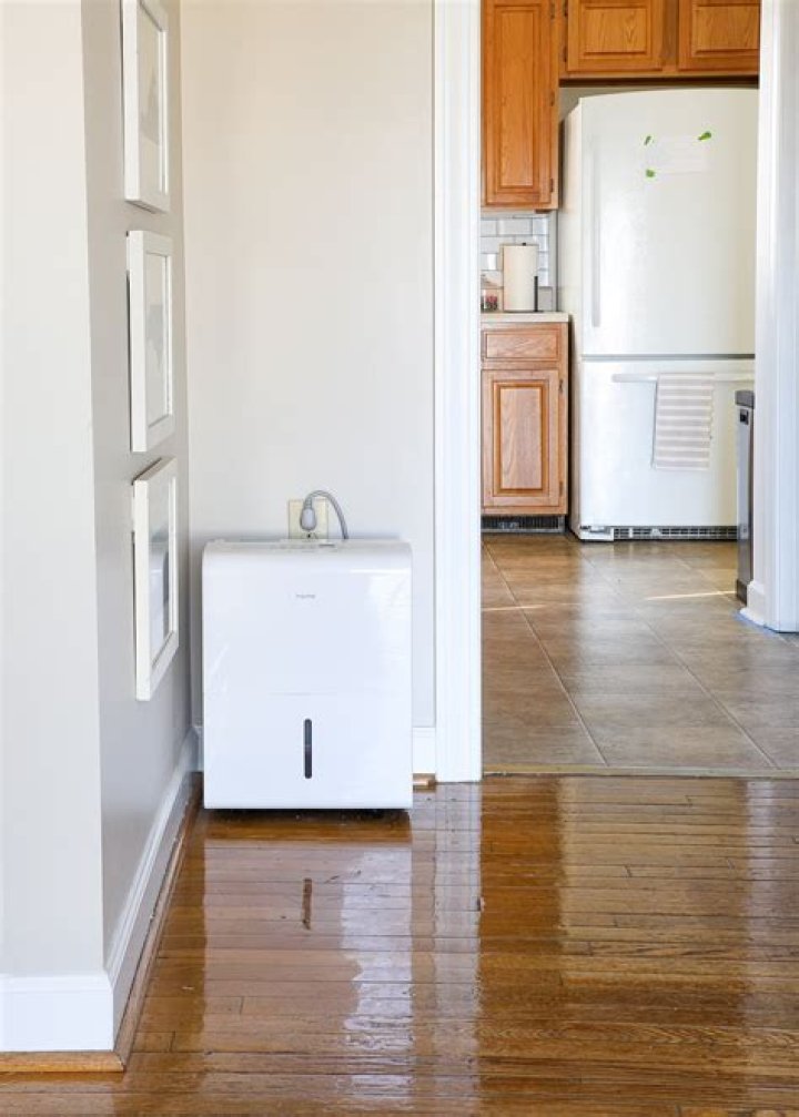 How do you get rid of mildew under the sink