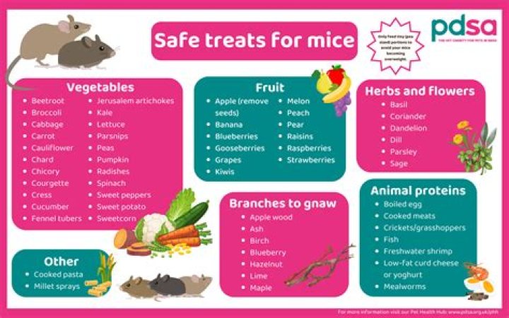 How do you keep mice out of plants