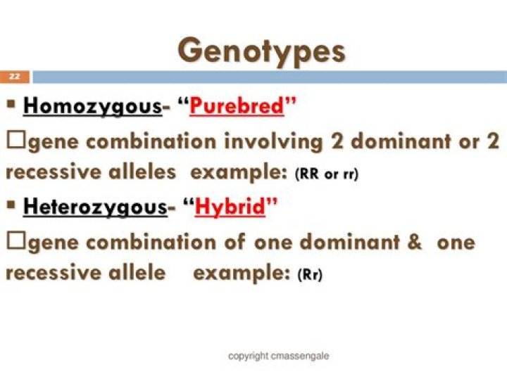 How do you know if a genotype is purebred or hybrid