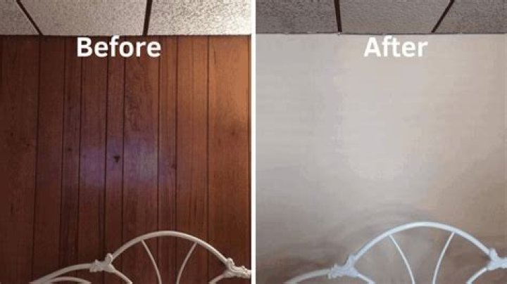 How do you remove white mold from wood paneling