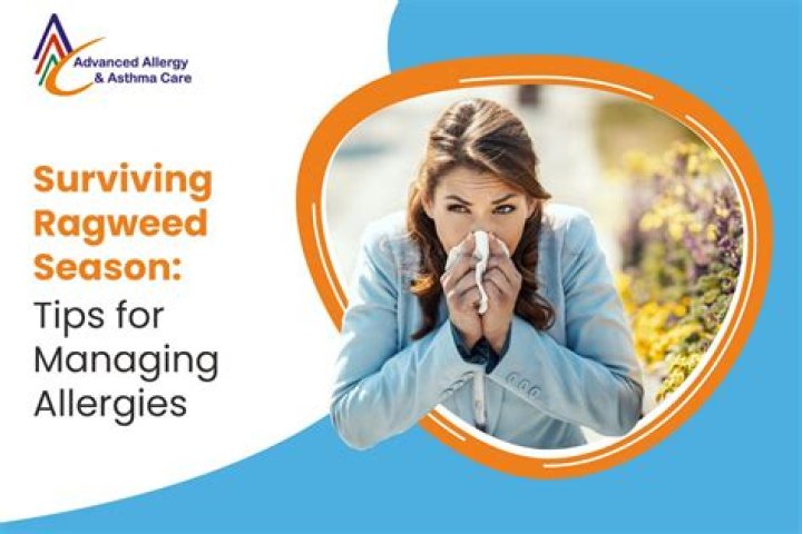 How do you survive ragweed allergy season