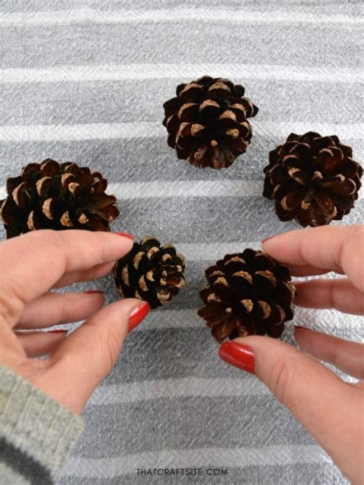 How do you treat pine cones for crafts