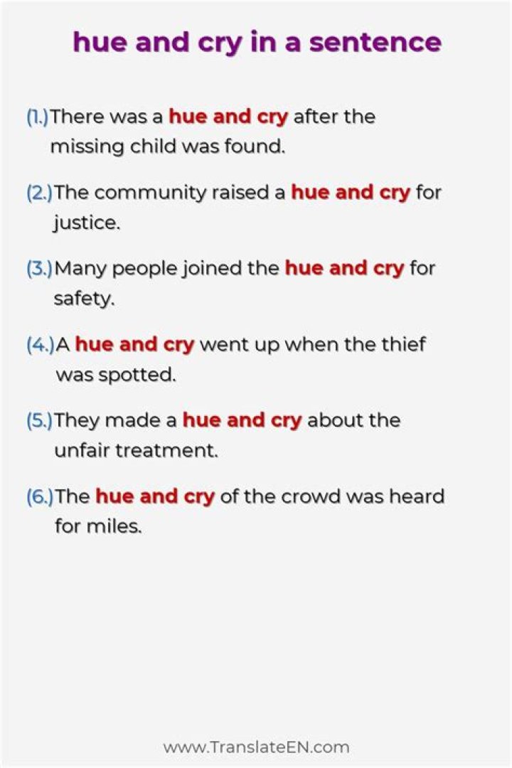 How do you use hue and cry in a sentence