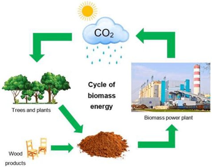 How does biomass energy affect the environment