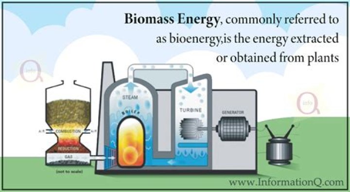 How does biomass energy work