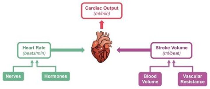 How does cardiac output affect mean arterial pressure