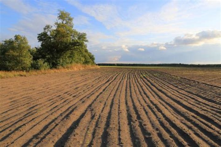 How does dry farming work
