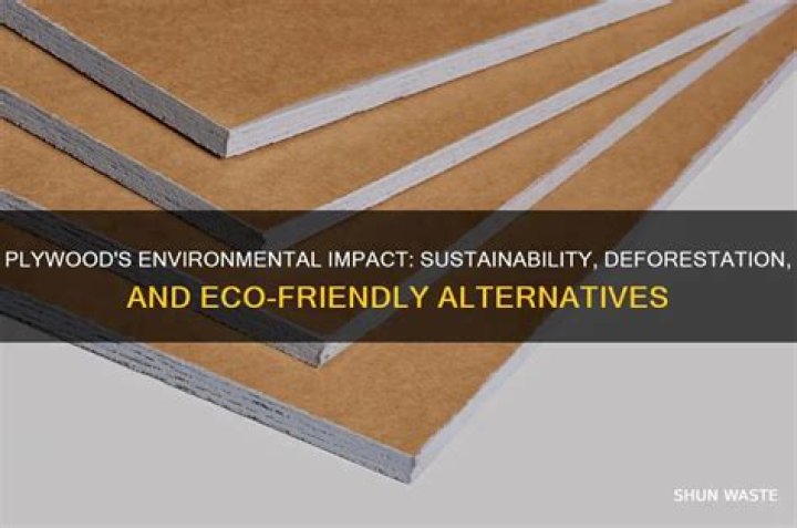 How does plywood affect the environment