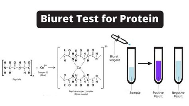 How is biuret test carried out for protein
