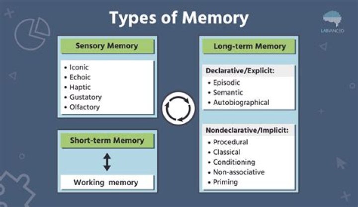 How many models of memory are there