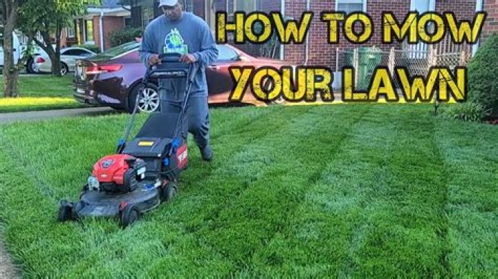 How many times a month should I mow my lawn