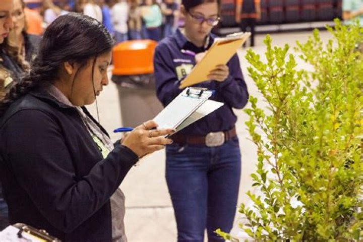 How much are FFA dues per year