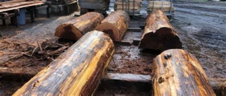 How much does it cost to kiln dry lumber