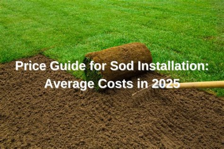 How much does sod cost per square foot installed
