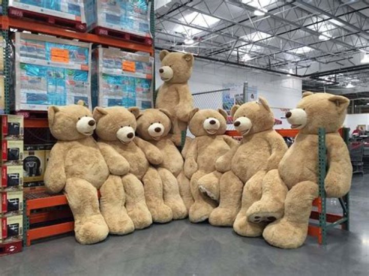 How much is the teddy bear at Costco