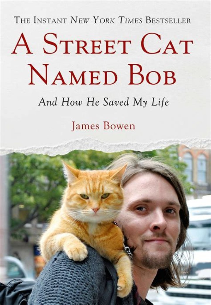 How old is the street cat named Bob