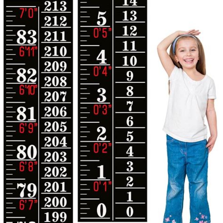 How Tall Are Toddlers